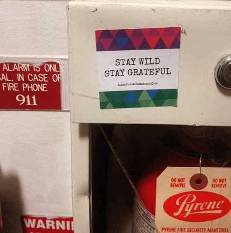 compassprojectguerrillapoetry19