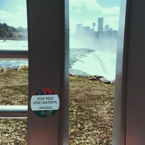 Screen Shot 2015-07-24 at 2.30.36 PM