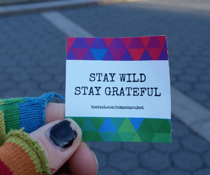stay wild stay grateful