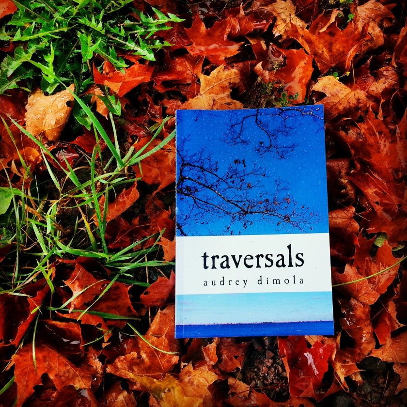 audrey dimola traversals