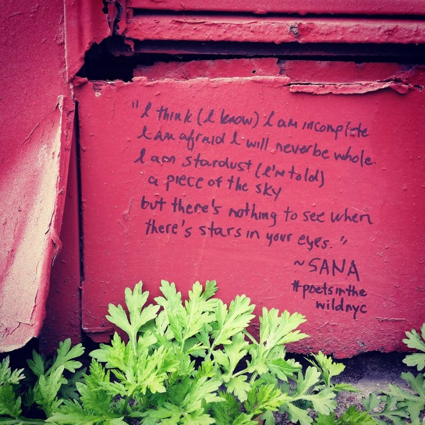 10608443_10100975594378104_6652914218993153726_o