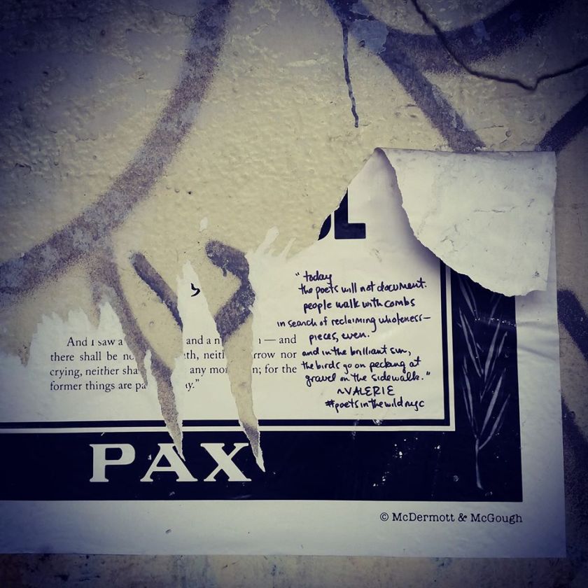 10857104_10100966821454114_952339454338658164_o