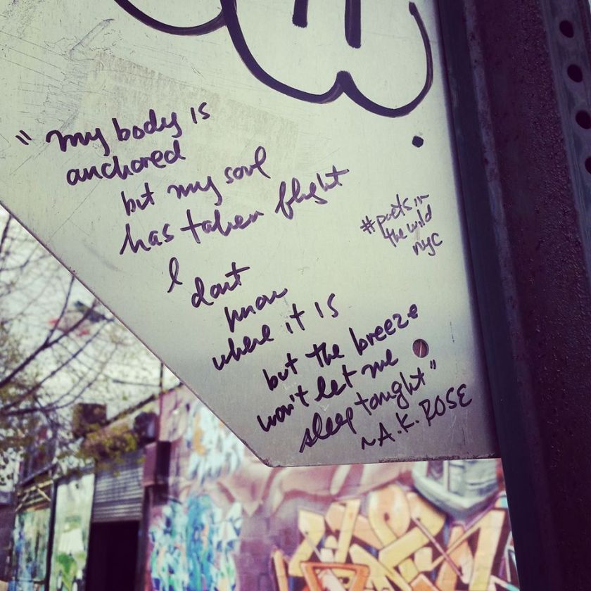 10954453_10100988011558974_6040112798826010913_o