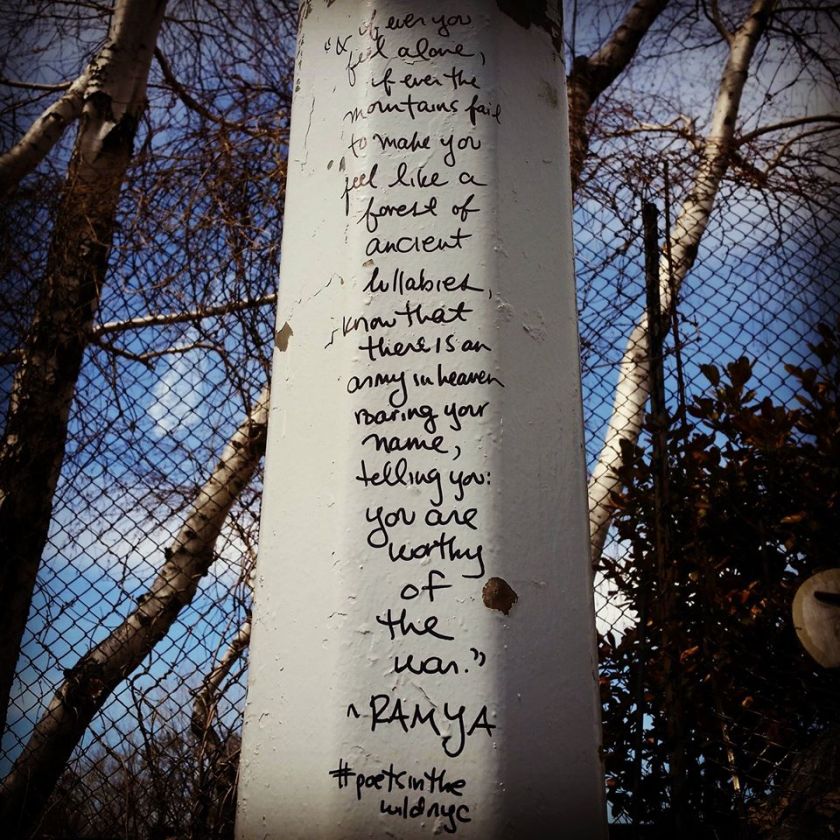 11080907_10100960239748904_3170809288250940270_o