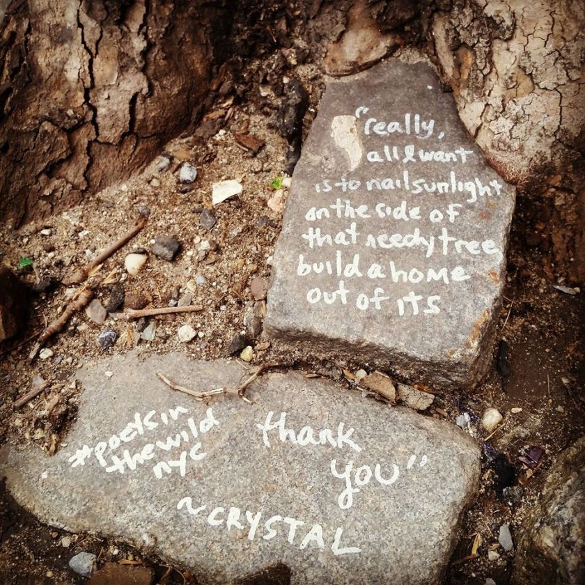 1836679_10100972582149634_8248958683076072801_o