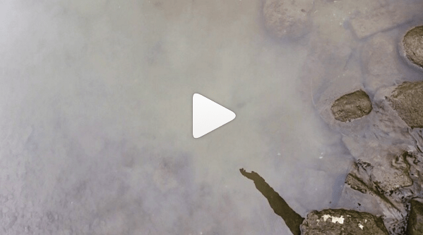 Screen Shot 2016-03-07 at 11.13.13 AM