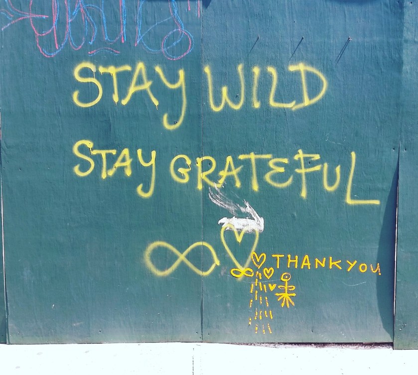 13908821_10101381210525094_888648324466493877_o