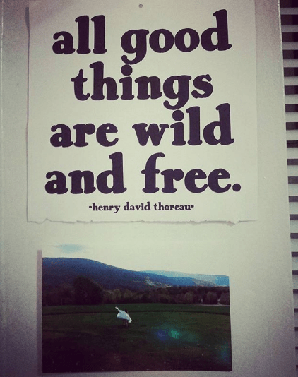 Screen Shot 2017-12-09 at 11.33.06 AM